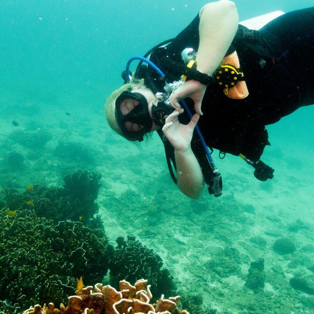 SSI Basic Diver, sukelluskurssi, open water diver, sukellus